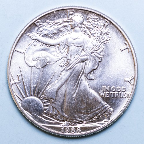 America dollaro 1988 american - america,