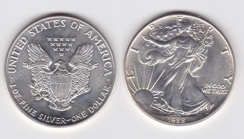 Moneta argento dollaro - 1,