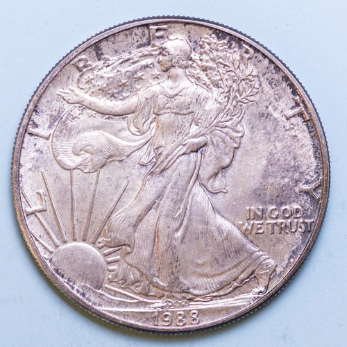 America dollaro 1988 american - america,